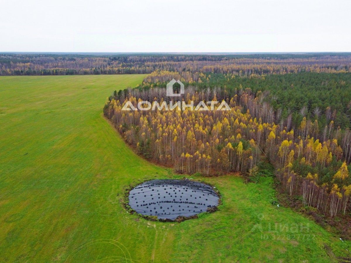 Продажа земли д. Заостровье, улица Центральная
