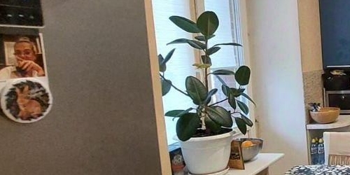 3-комн квартира Новоколомяжский проспект, 4К1