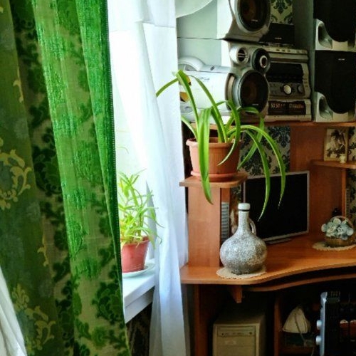 1-комн квартира Вырица городской поселок, улица Румянцева, 6