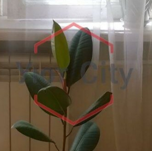 3-комн квартира ул Бойцовая,  д. 6,  к. 6