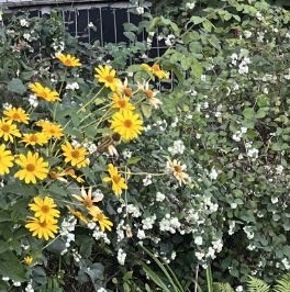 Аренда 1-комн квартиры на вторичном рынке Дзержинский, Угрешская улица, 18