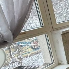 Продажа 1-комн квартиры на вторичном рынке Молоково пгт, улица Василия Молокова, 17 Продажа 1-комн квартиры на вторичном рынке Молоково пгт, улица Василия Молокова, 17