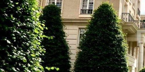 5-комн квартира улица Ефремова, 19к3