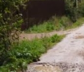 Продать Земельные участки, земля Назия садоводческий массив, Эликсир СНТ, 6-я линия, 341   