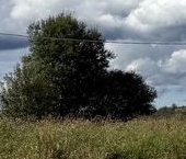 Продать Земельные участки, земля д. Владимировка, улица Героев, 5   