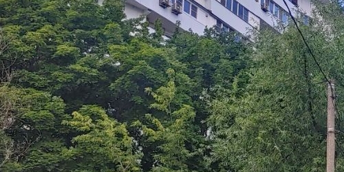 2-комн квартира Севанская улица, 4