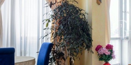 4-комн квартира Малая Бронная улица, 25