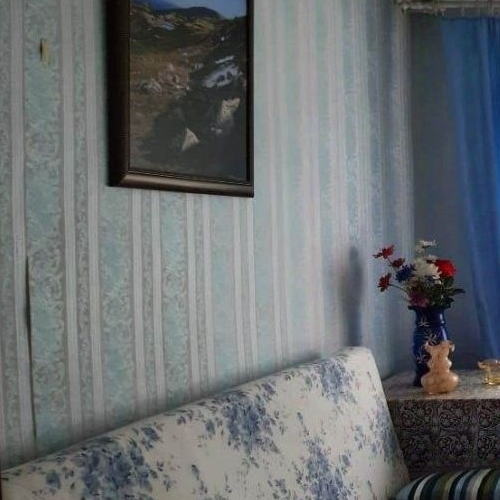 2-комн квартира Приозерск, Ленинградское шоссе, 63а