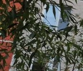 Продать Квартиры вторичка Шипиловский проезд, 63К1   