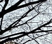 Продать Квартиры вторичка Хорошевское шоссе, 12к1   