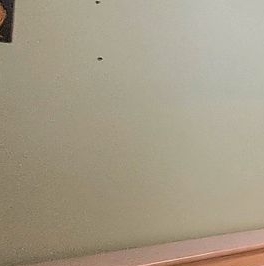 Аренда 1-комн квартиры на вторичном рынке Дмитров, Сиреневая улица, 6