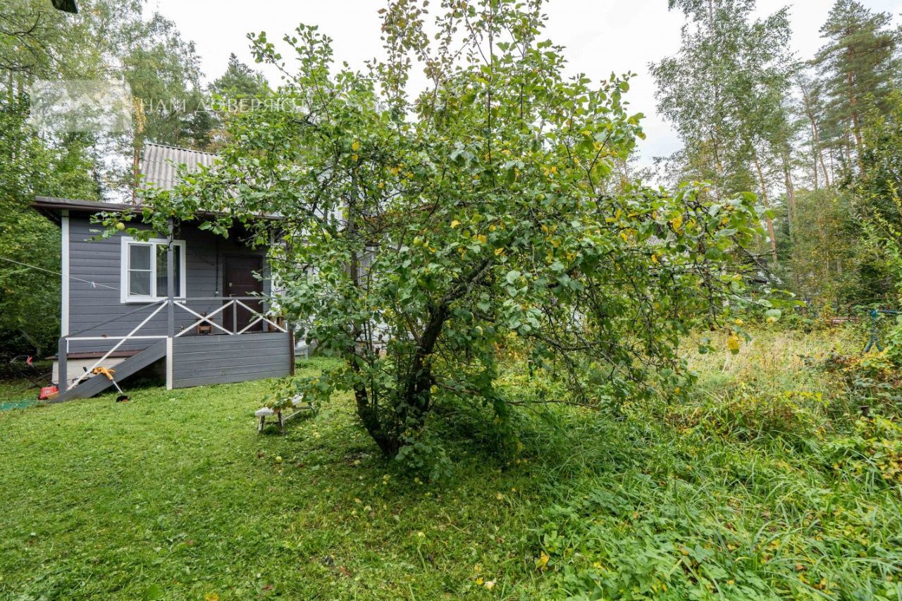 Продажа земли пос. Комарово, Цветочная улица, 3