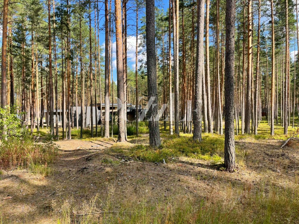 Продажа земли д. Варшко, улица Сосновая, 3