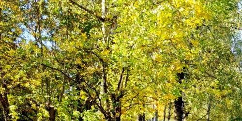 Комната улица Островитянова, 22К2