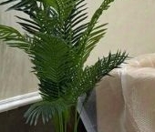 Продать Квартиры вторичка пос. Развилка, проезд Римский, 11   