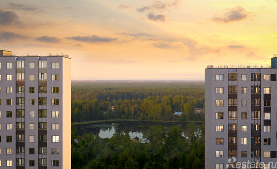 Продажа 1-комн квартиры на вторичном рынке Муринская дор,  д. 8 к1