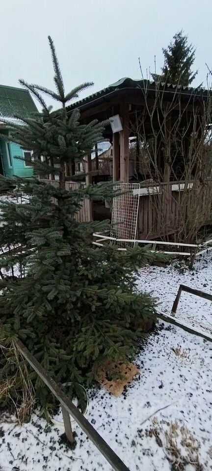 Продажа дома Кобрино садоводческий массив, Кобринское СНТ,  д. 220