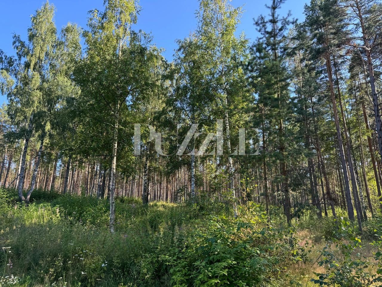 Продажа земли д. Варшко, улица Сосновая, 3/39