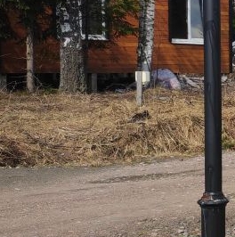 Продажа дома Минилахти кп, улица Светлая, д. 66 Продажа дома Минилахти кп, улица Светлая, д. 66