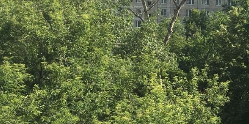 1-комн квартира Лазаревский переулок, 2