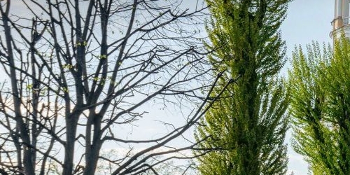 2-комн квартира проспект Добролюбова, 27