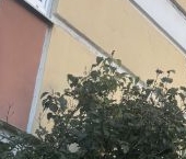 Продать Квартиры вторичка Беговая улица, 7К1   