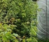 Продать Дачи, коттеджи, загородные дома Кингисепп, Юннатская садоводческий массив, Заря СНТ, 79   