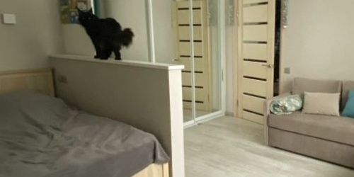 1-комн квартира 2-й Автозаводский проезд, 3А