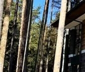 Продать Дачи, коттеджи, загородные дома Достоевский кп, Рощино пгт   