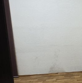 Аренда 2-комн квартиры на вторичном рынке 2-я Владимирская улица, 13 Аренда 2-комн квартиры на вторичном рынке 2-я Владимирская улица, 13