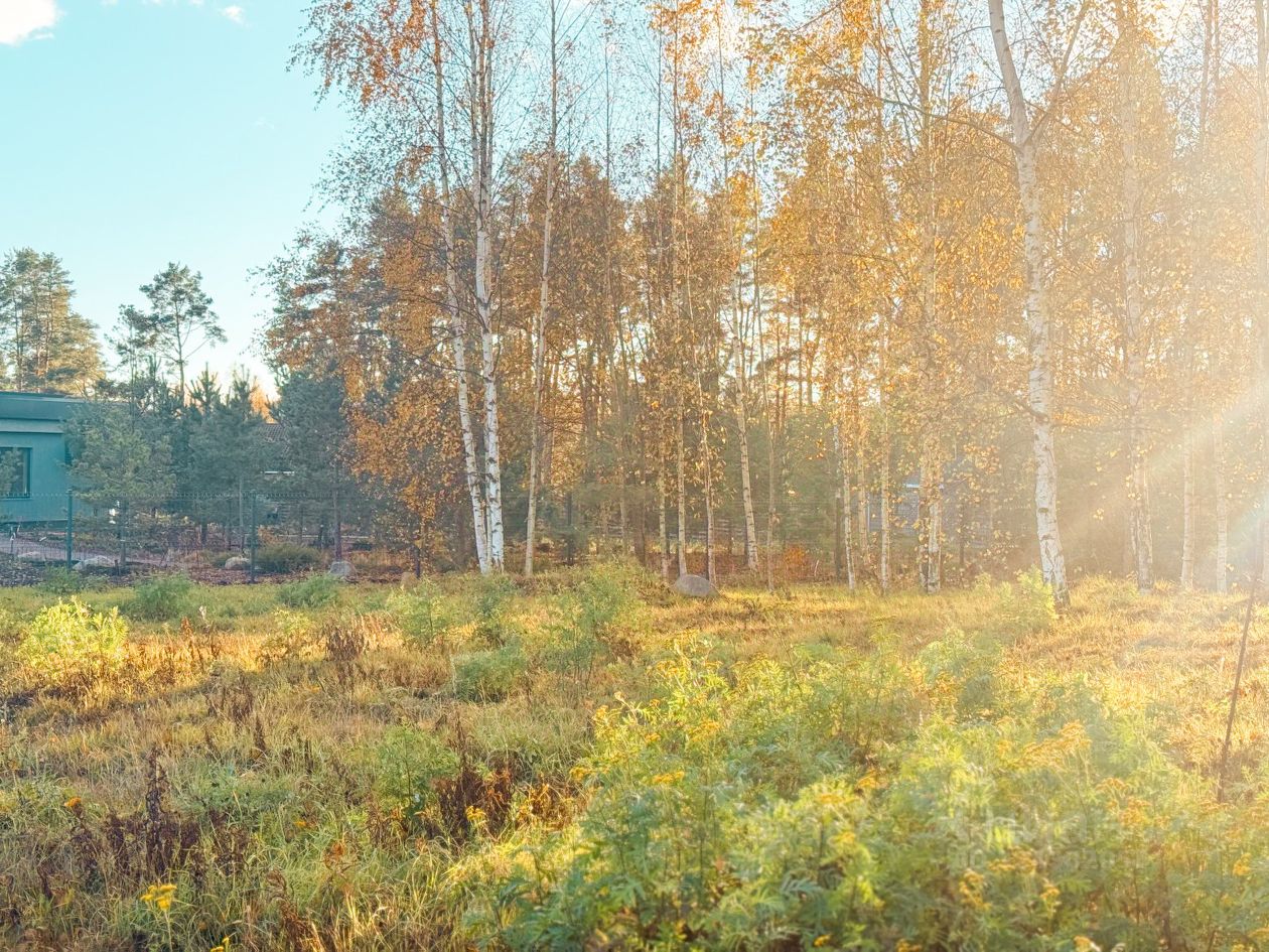 Продажа земли пос. Первомайское, Ручеек-Первомайское СНТ