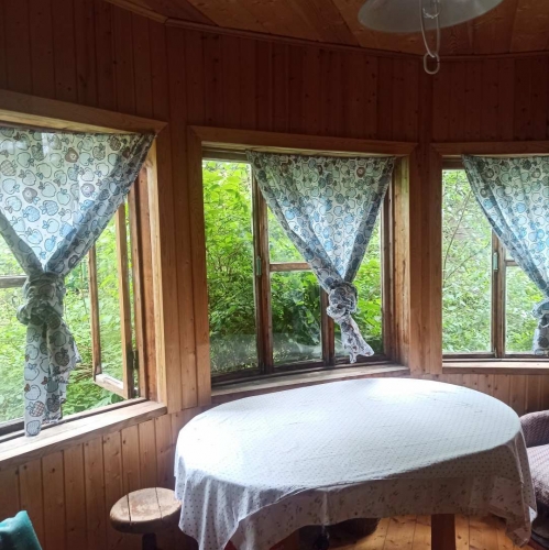 Коттедж/дом Троицкое-4 тер. СНТ, 459