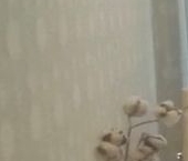 Сдать в аренду Квартиры вторичка улица Академика Павлова, 27К2   