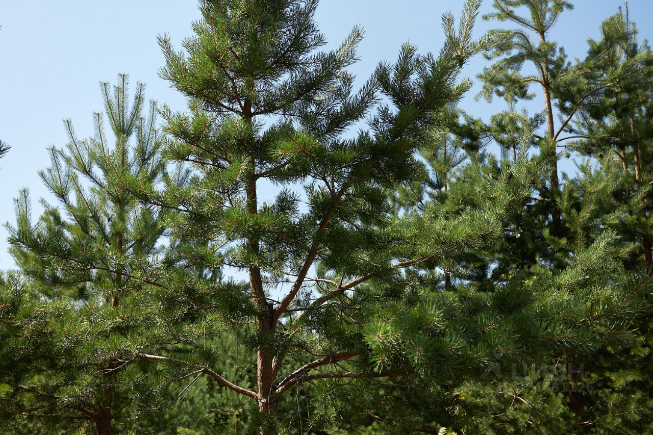 Продажа земли Ленинское кп, пос. Ленинское