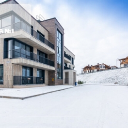 Продажа 1-комн квартиры на вторичном рынке Мистолово, ЖК «Спортивная деревня»