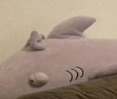 Продать Квартиры вторичка аллея Поликарпова, 1   