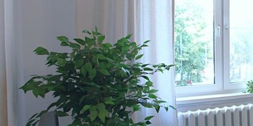 2-комн квартира улица Медиков, 20