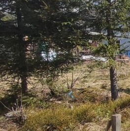 Продажа дома Минилахти кп, улица Светлая, д. 66 Продажа дома Минилахти кп, улица Светлая, д. 66