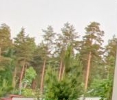 Продать Дачи, коттеджи, загородные дома Морские Террасы кп, пос. Пески  113 