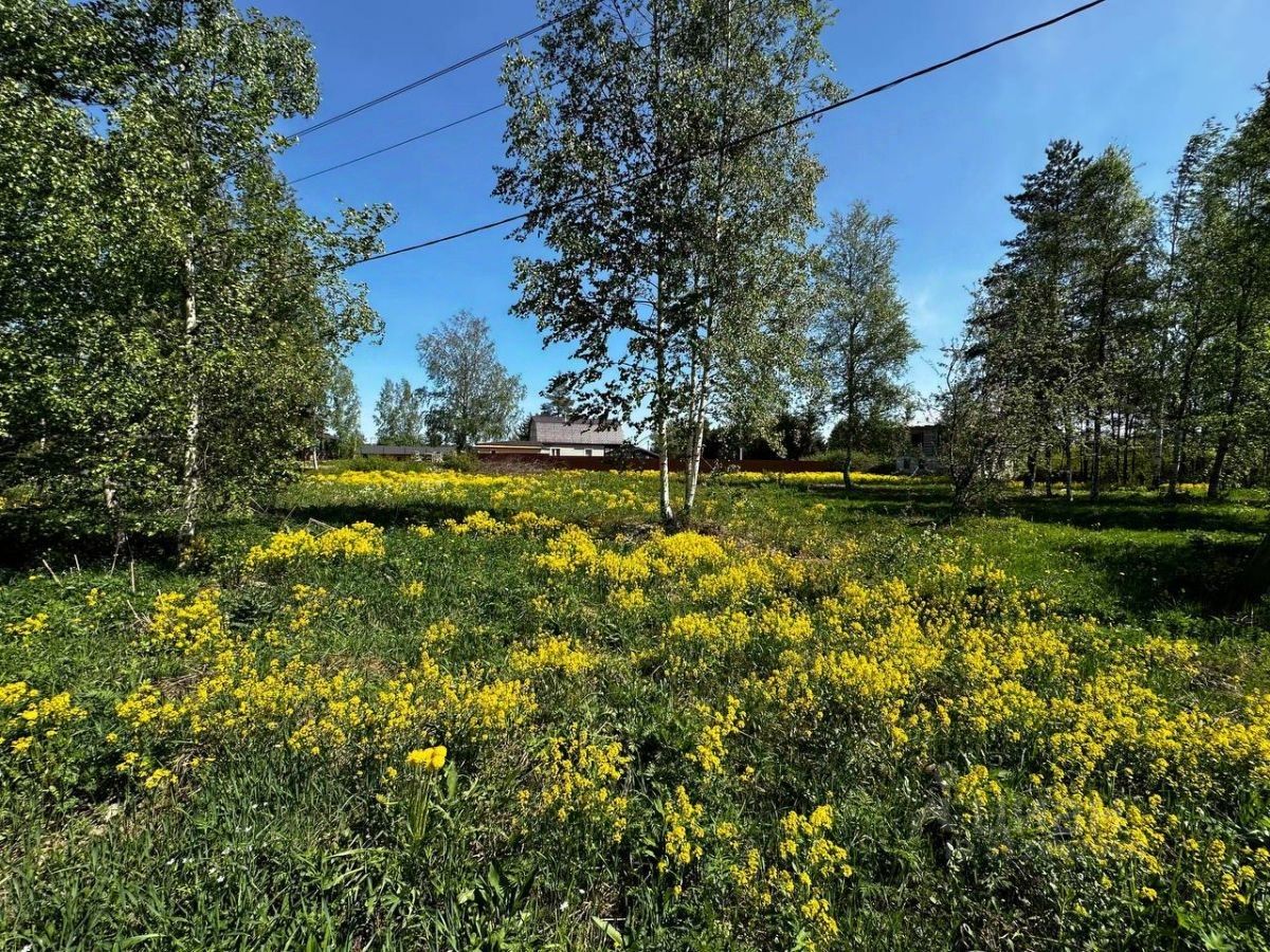 Продажа земли пос. Приладожское, Гусиное СНТ, 37