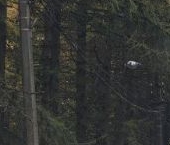 Продать Квартиры вторичка Петергофское шоссе, 86к2   