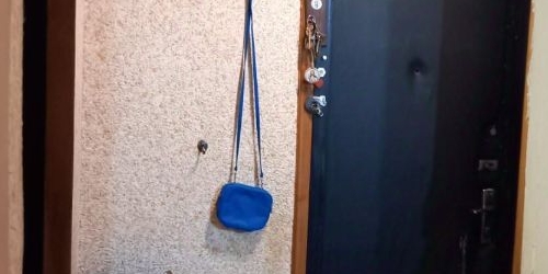 1-комн квартира Шатурская улица, 10