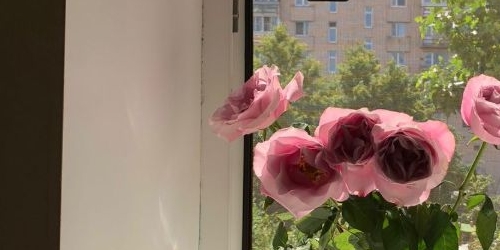 2-комн квартира Саратовская улица, 27