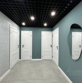 Аренда ПСН Староконюшенный пер,  д. 32