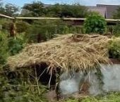 Продать Дачи, коттеджи, загородные дома Дачное Балтийского завода СНТ, 18-я линия, 9   