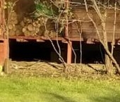 Продать Дачи, коттеджи, загородные дома Келколово-3 садоводческий массив, Дзержинец СНТ   