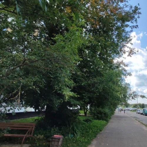 3-комн квартира Кингисепп, улица Химиков, 14