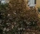 Продать Квартиры вторичка Гаванская улица, 44   