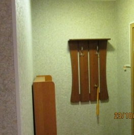 Аренда 1-комн квартиры на вторичном рынке улица Руднёвка,  д. 41