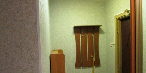 1-комн квартира улица Руднёвка,  д. 41